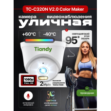 Видеокамера купольная с цветной ночной съёмкой Tiandy TC-C320N V2.0 Color (2Мп, 2.8mm)