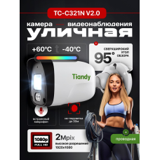 Камера видеонаблюдения уличная Tiandy TC-C321N V2.0 (2.8мм 2Мп)