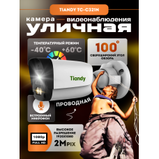 Камера видеонаблюдения с микрофоном и питанием по PoE Tiandy TC-C321N