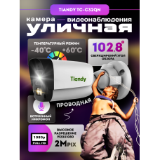IP камера видеонаблюдения уличная с микрофоном и питанием по PoE Tiandy TC-C32QN (2 МП)