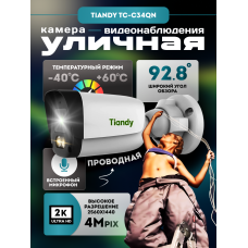 IP 4 Мп камера видеонаблюдения с микрофоном и питанием по PoE Tiandy TC-C34QN