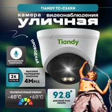 IP камера видеонаблюдения купольная с микрофоном и питанием по PoE Tiandy TC-C34XN (4 МП)