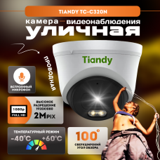 IP видеокамера купольная с ИК подсветкой и микрофоном Tiandy TC-C320N
